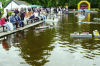 General view of regatta activity