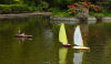 collage of regatta 1