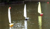 collage of regatta 1