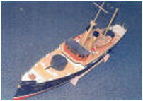 Gun Ship